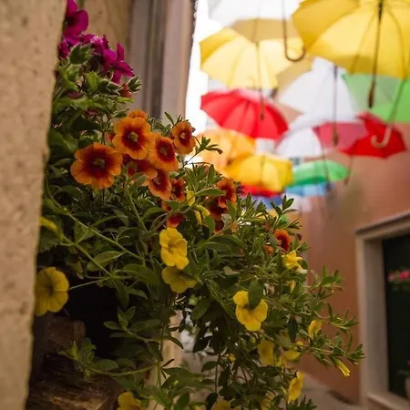 Pensión House Tina 4*