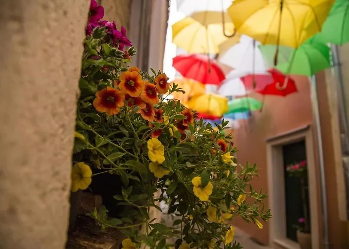 Gostinjska kuća House Tina 4*